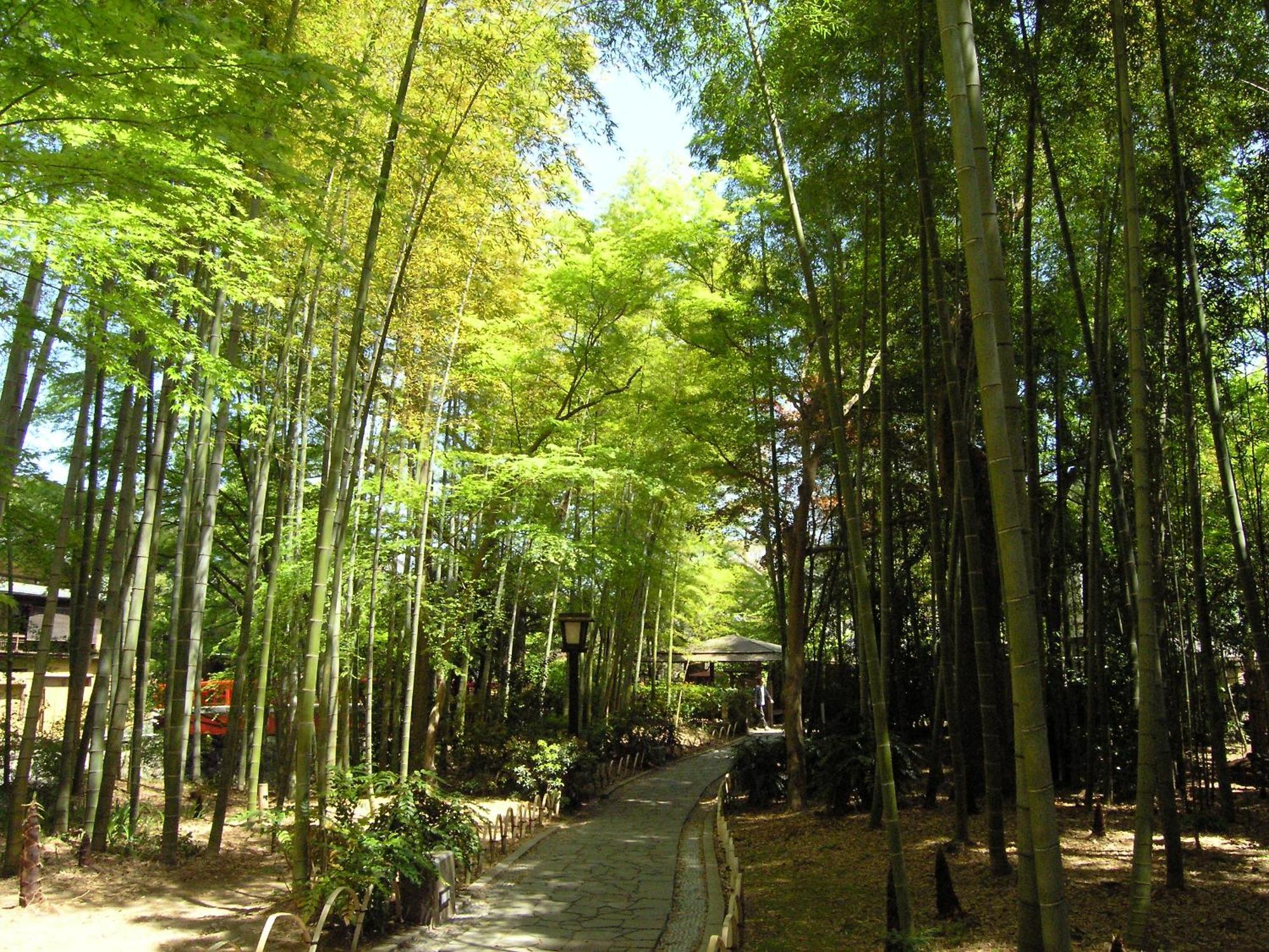 Izu Marriott Hotel Shuzenji Esterno foto