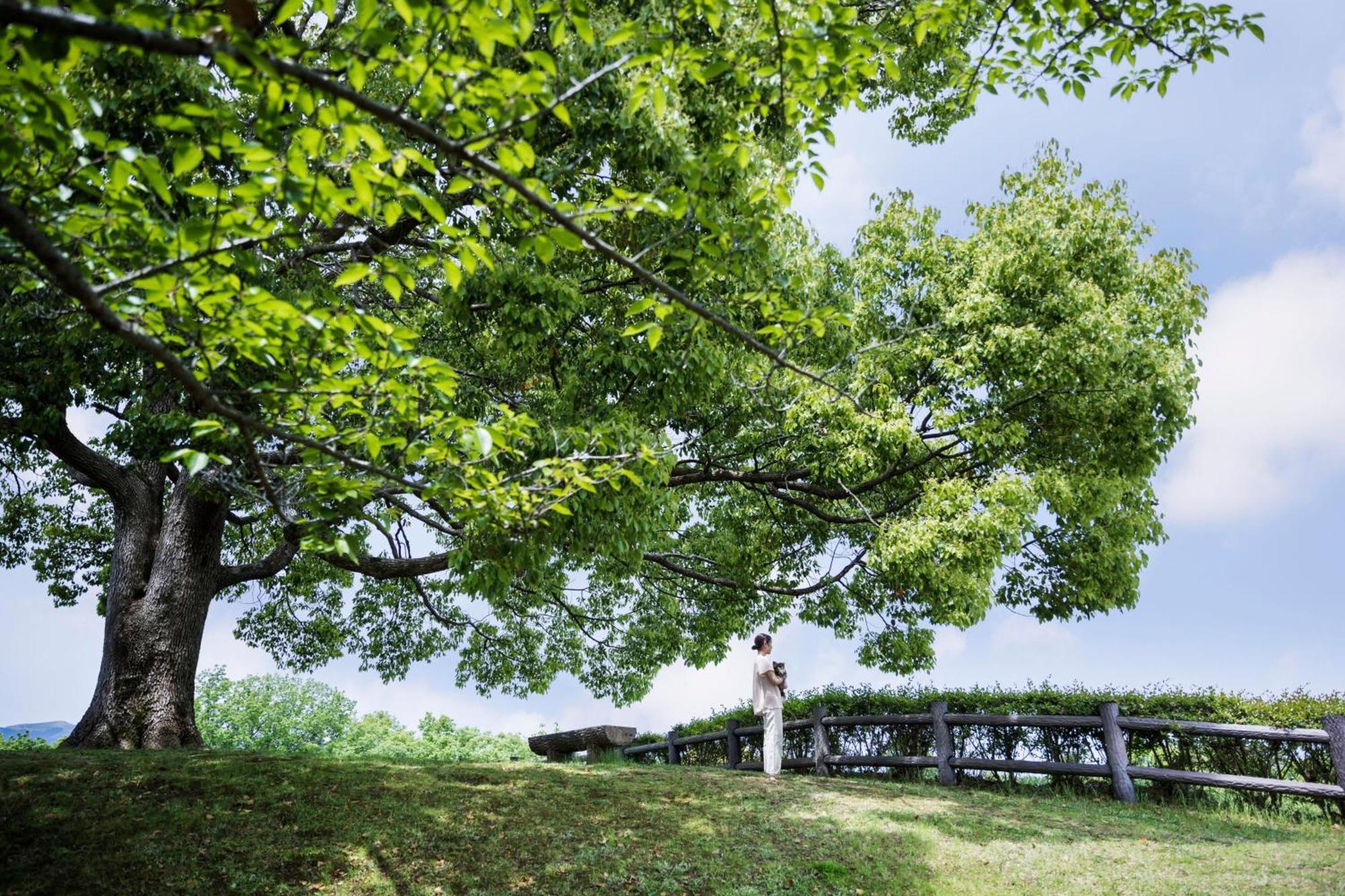 Izu Marriott Hotel Shuzenji Esterno foto